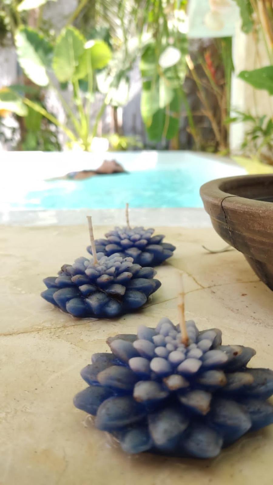Chale Da Sereia Apart-Hotel Com Cozina Piscina Oasis No Centro De Jericoacoara エクステリア 写真